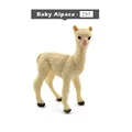 Baby Alpaca