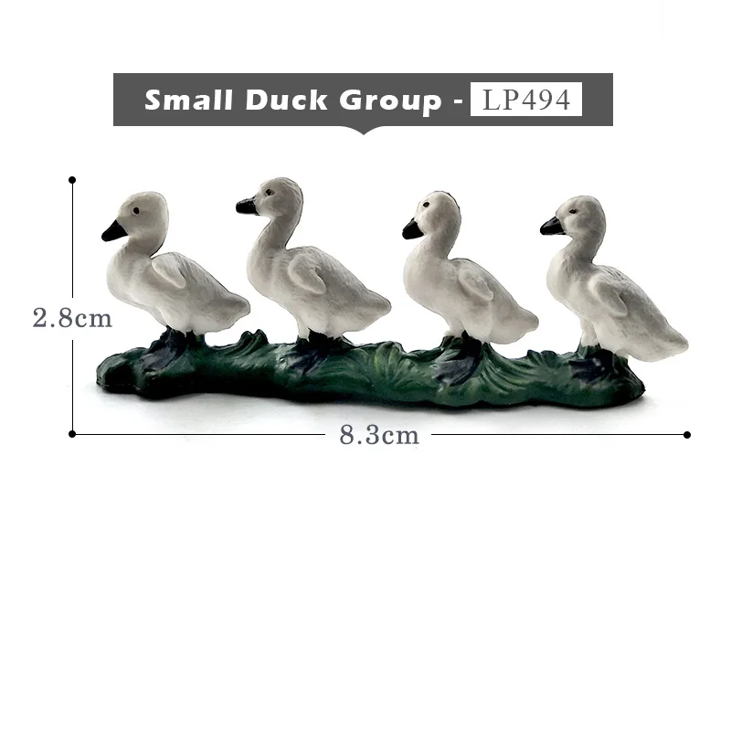 Small Duck Group - A