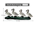 Small Duck Group - A