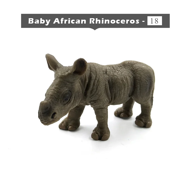 Baby Rhinoceros