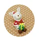 5 Bunny