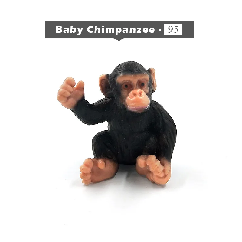 Baby Chimpanzee