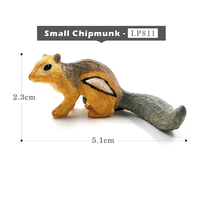 Small Chipmunk