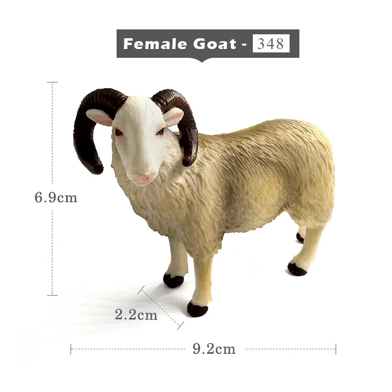 Female Goat