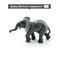 Baby elephant