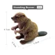 Standing Beaver -208