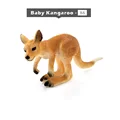 Baby Kangaroo