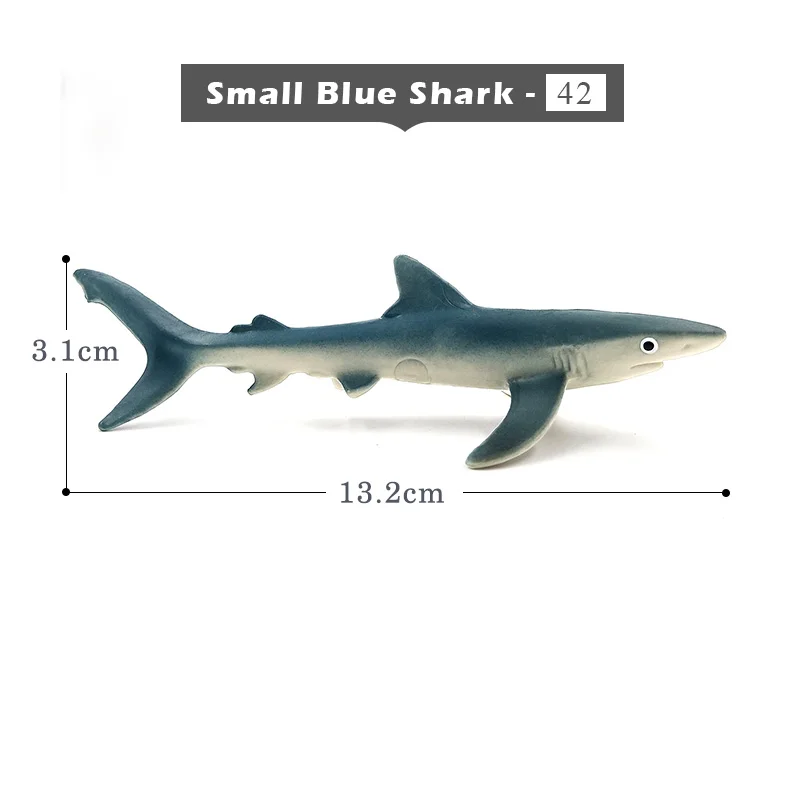 Small Blue Shark