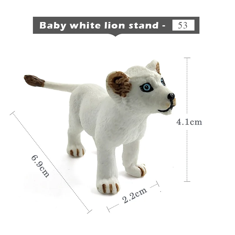 Baby-white-lion-stan