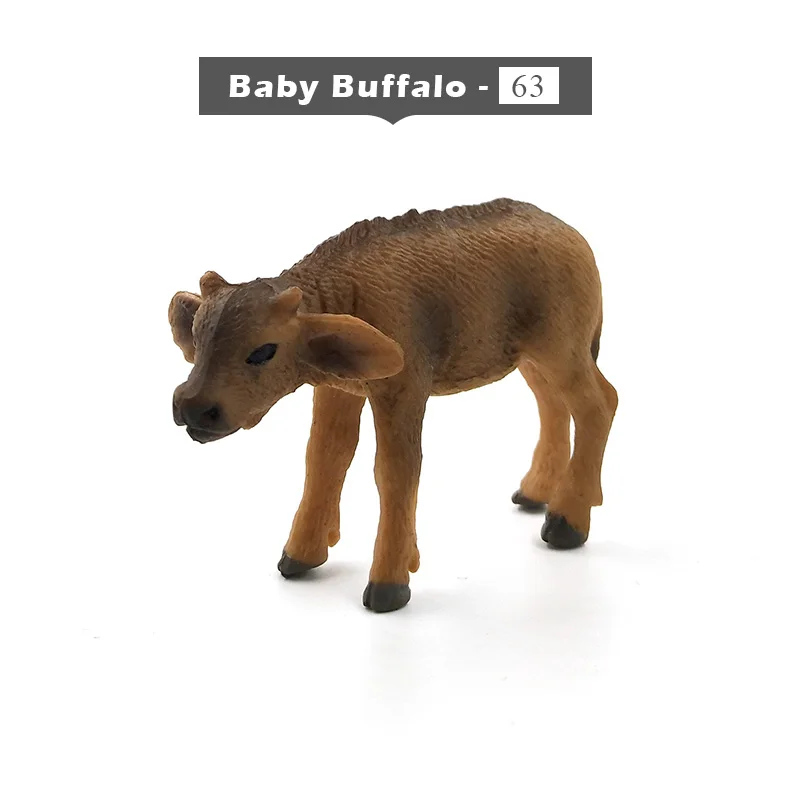 Baby Buffalo