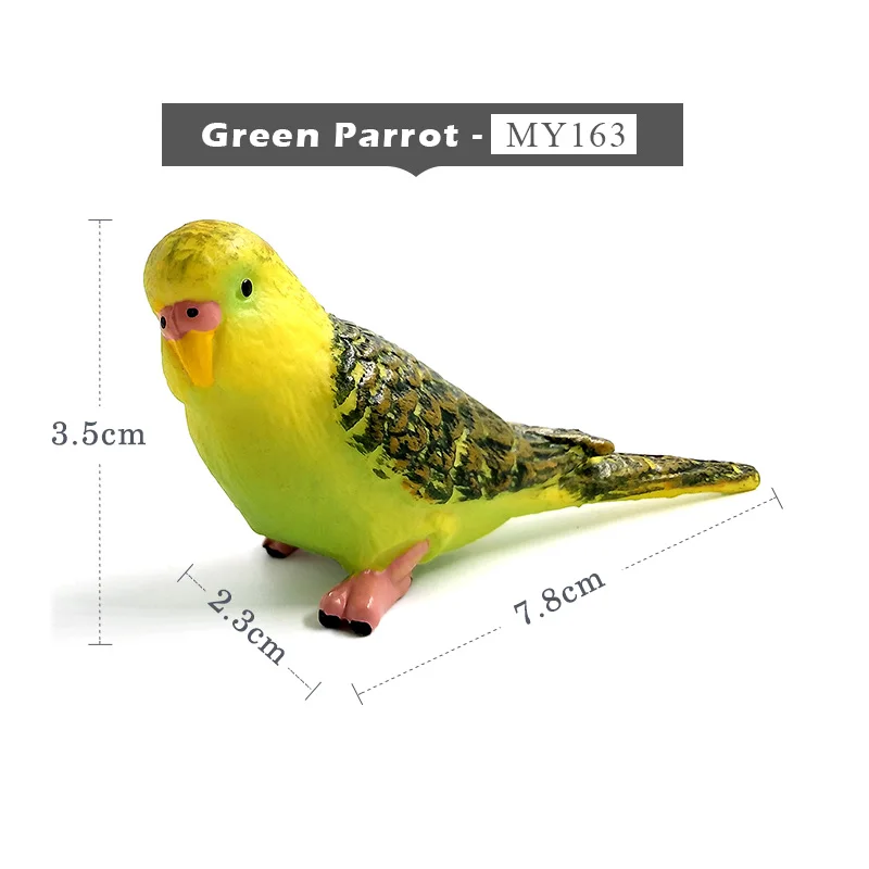 Green Parrot