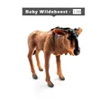Baby Wildebeest