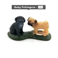 Baby Pekingese