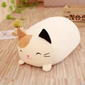 gato