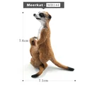 Meerkat