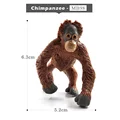 Chimpanzee