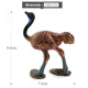 Ostrich