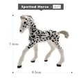 Spotted Horse