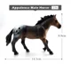 Appaloosa Male Horse