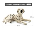 Female Dalmatian Dog
