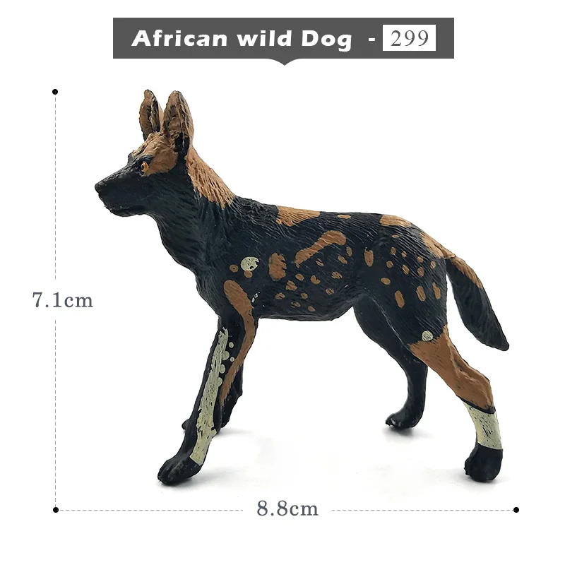 African wild Dog