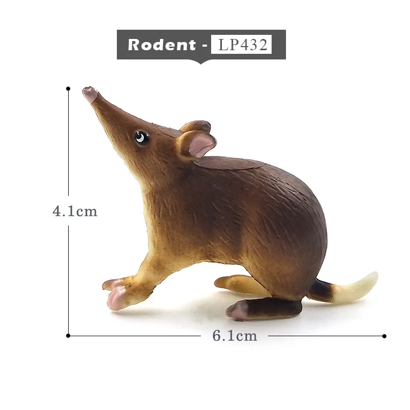 Rodent