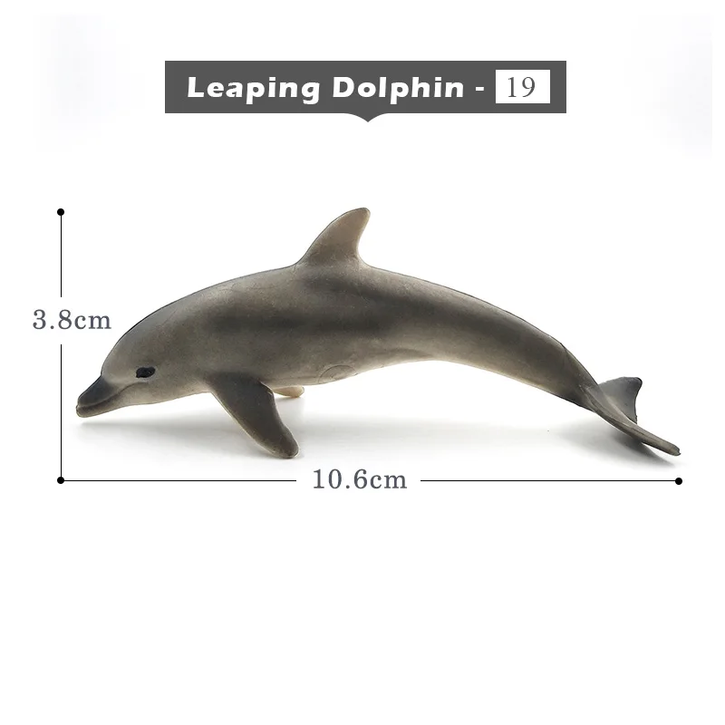 Leaping Dolphin