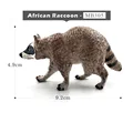 African Raccoon