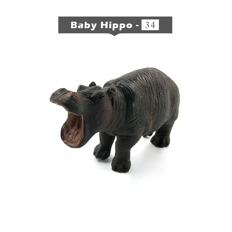 Baby Hippo