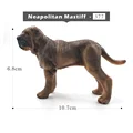 Neapolitan Mastiff