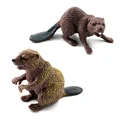 2Pcs Beaver-b