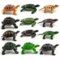 12 pcs turtle