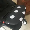 micky