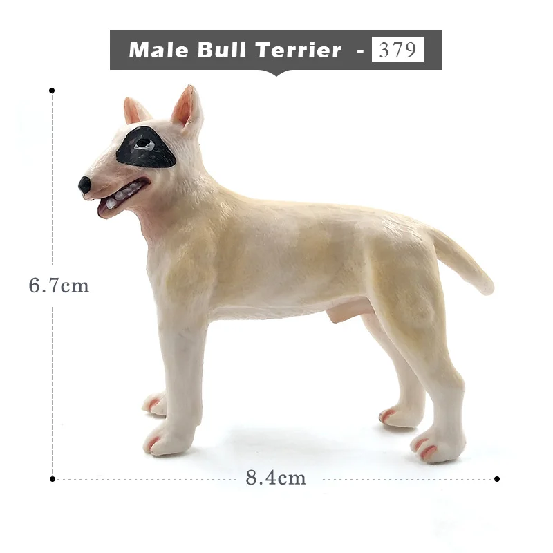 Male Bull Terrier