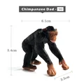 Chimpanzee Dad