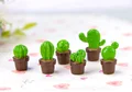 6pcs different