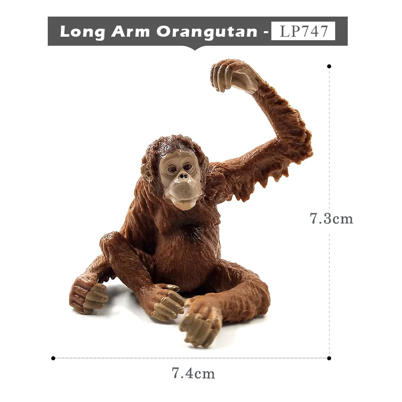 Long Arm Orangutan