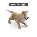 Baby Collie