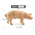 Boar