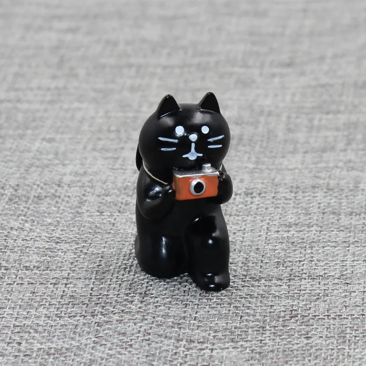 Camera Cat