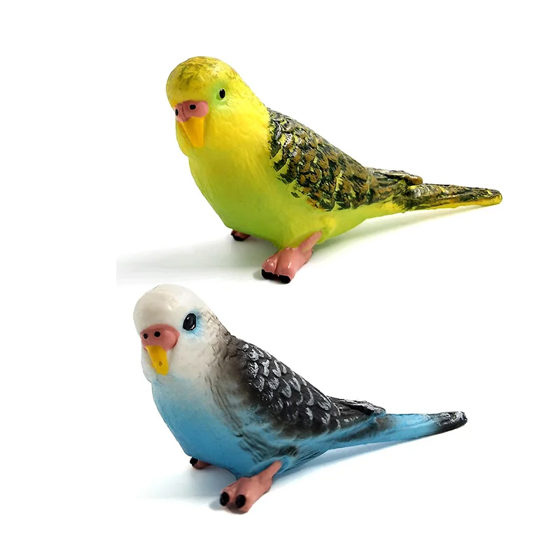 2 pcs Parrot