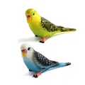 2 pcs Parrot