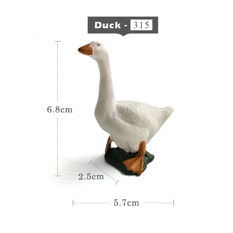 Duck -  315