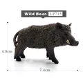 Wild Boar