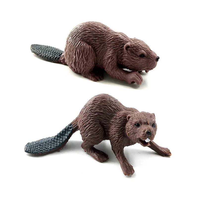 2Pcs Beaver-c