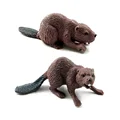 2Pcs Beaver-c