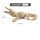 Crocodile