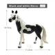 Black white Horse