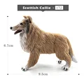 Scottish Collie