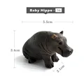 Baby Hippo